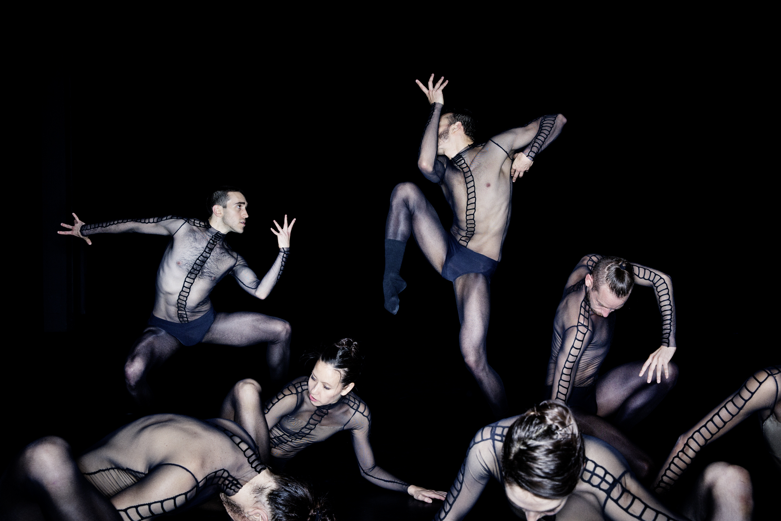 Tänzer der Dresden Frankfurt Dance Company in Jacopo Godanis "The Primate Trilogy"