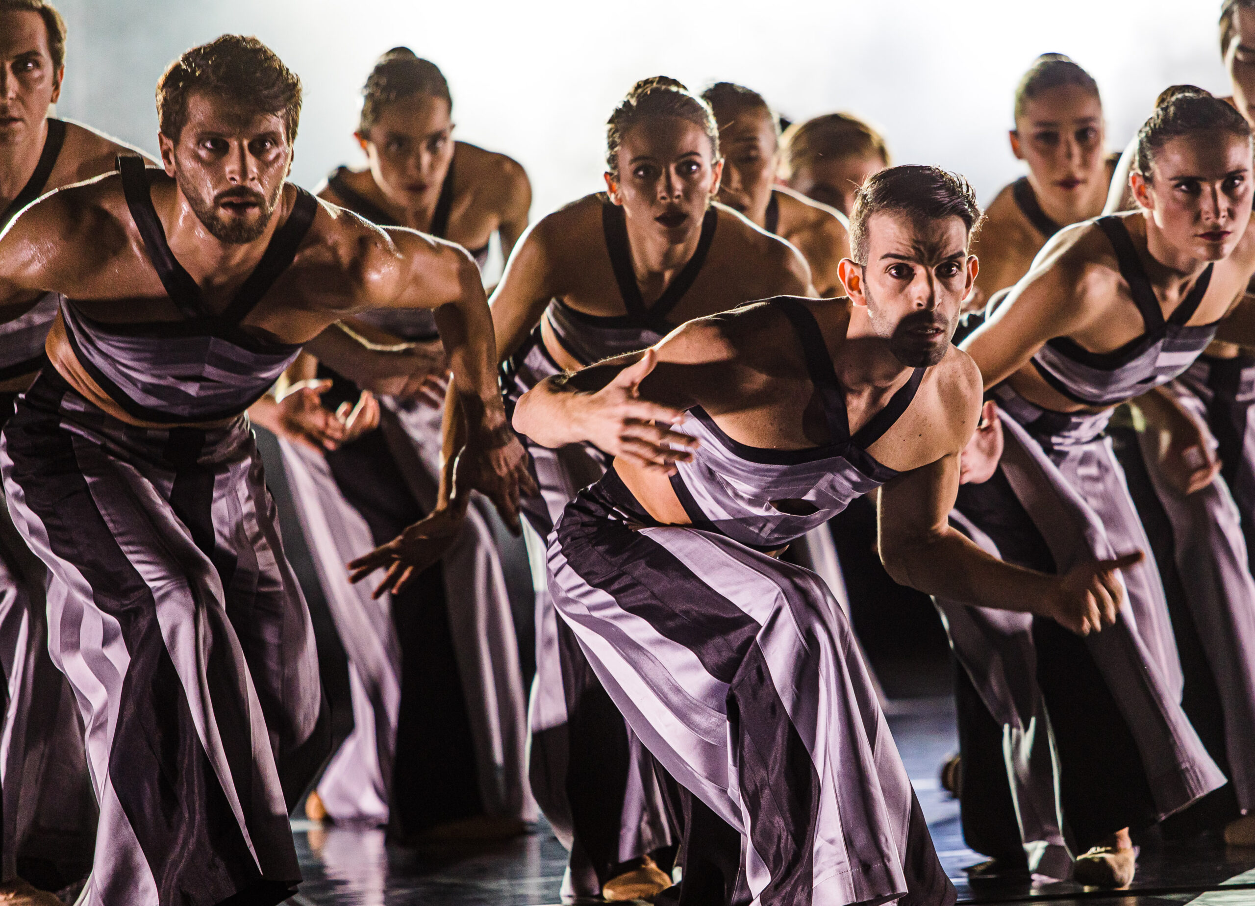 Alles, was Tanz kann: Das zeigt das Ensemble Ballett Rossa.