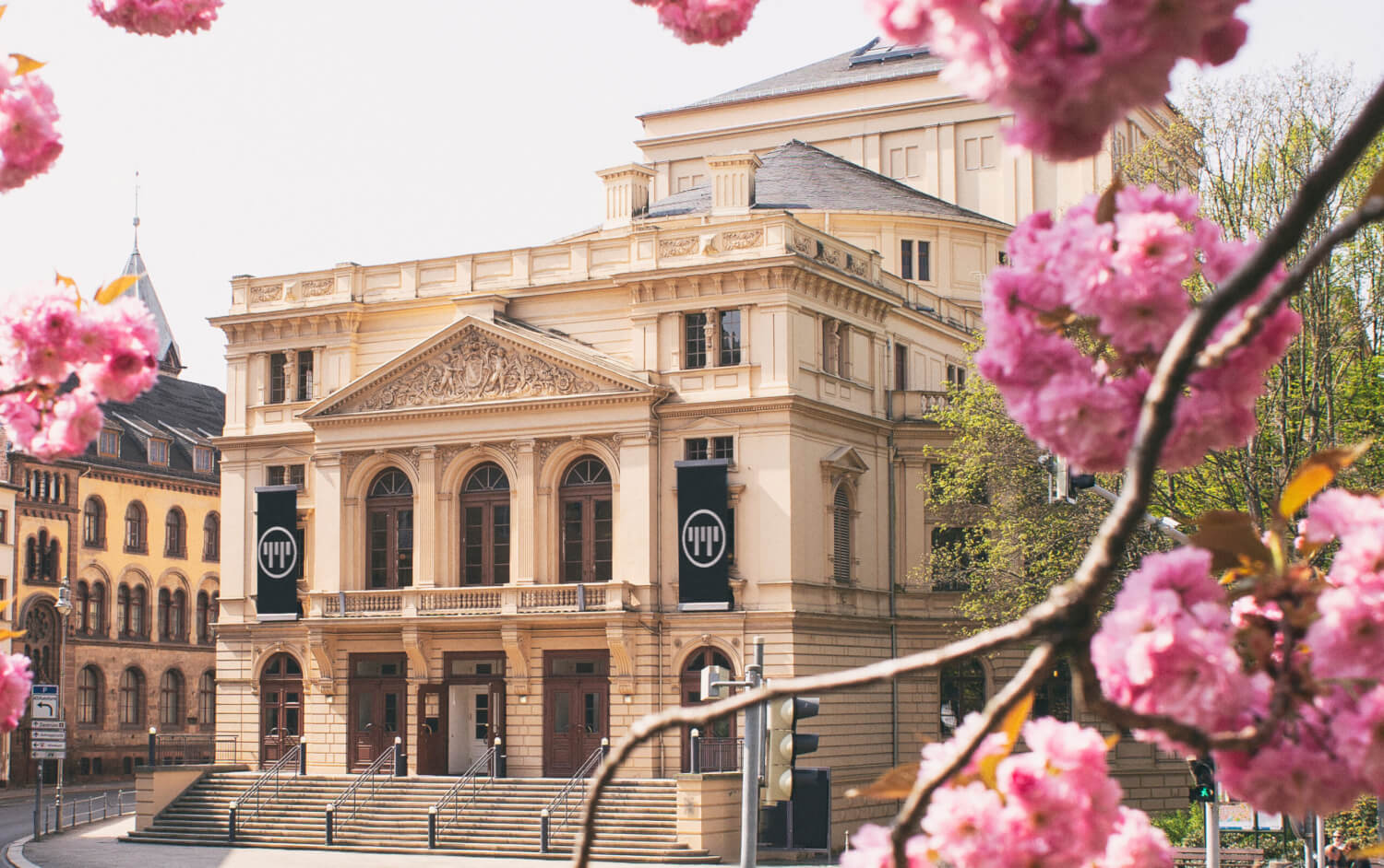 Das Theater Altenburg hinter Kirschblüten