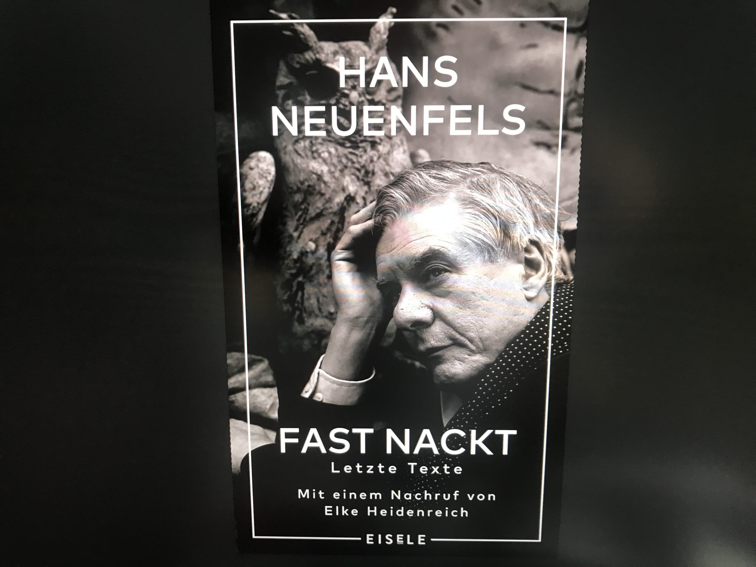Cover Hans Neuenfels „Fast nackt“
