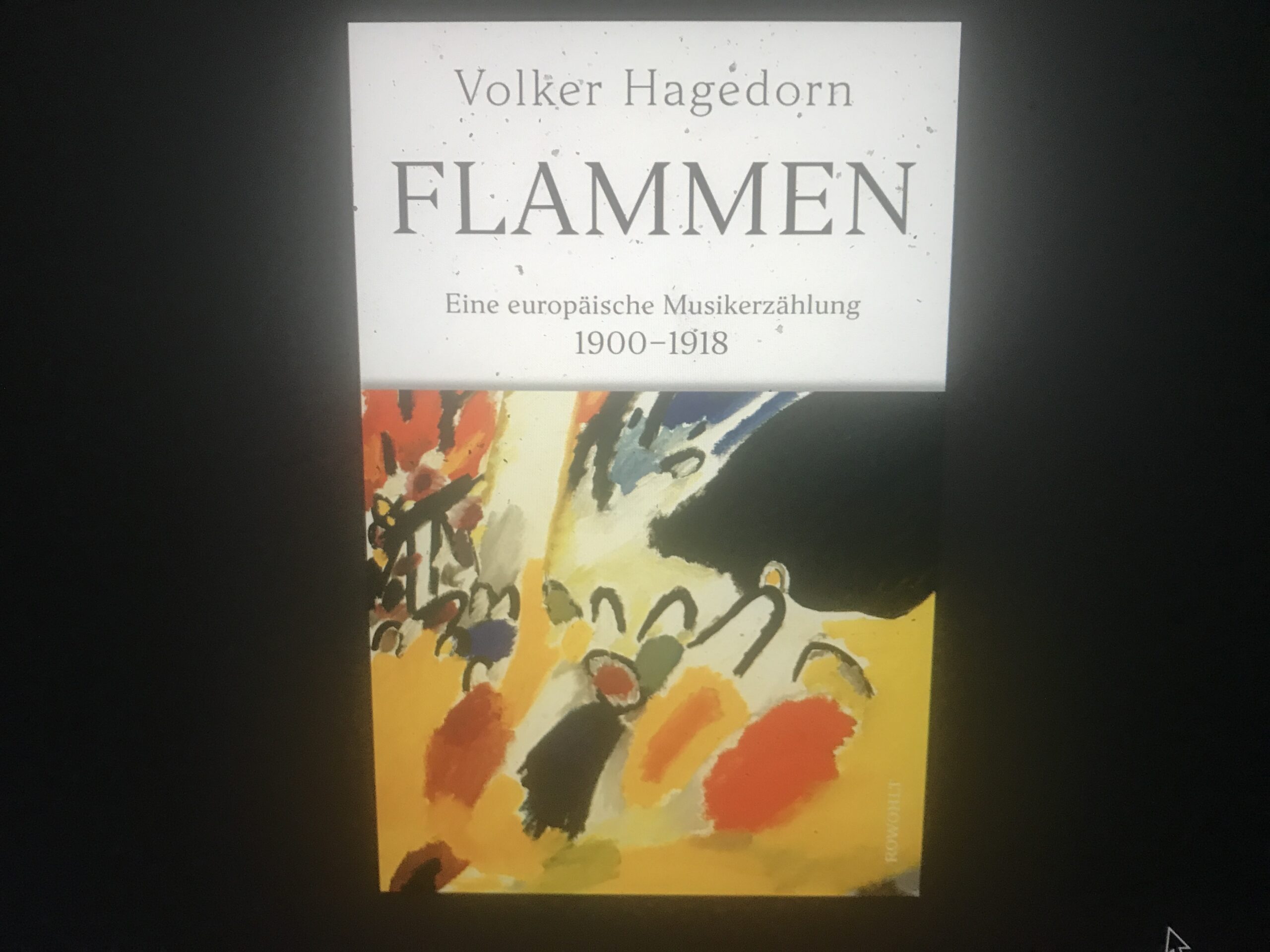 Cover „Flammen“, Rowohlt Verlag