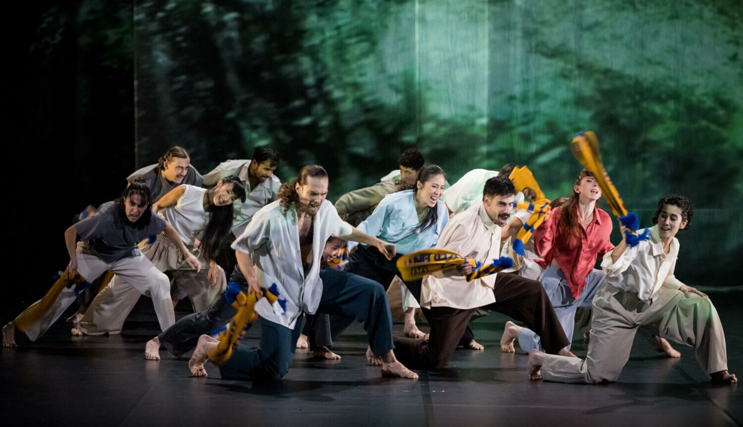 Vor Aufnahmen aus der Natur stehen die Tänzerinnen und Tänzer mit Schals bewaffnet durcheinander.